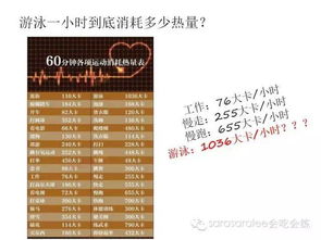 燕窝的更佳食用频率与时间段：全面解析如何高效摄取营养