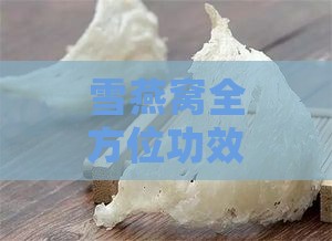 雪燕窝全方位功效解析：营养、美容、健康益处一览无余