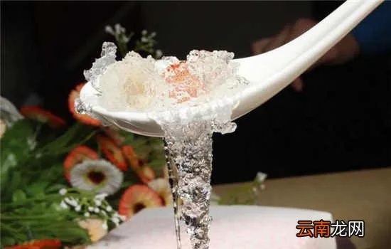 雪燕窝有什么功效和作用