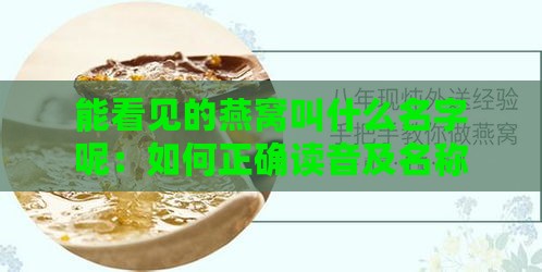 能看见的燕窝叫什么名字呢：如何正确读音及名称解析