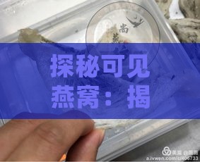 探秘可见燕窝：揭秘透明燕窝的学名与奥秘