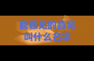 能看见的燕窝叫什么名字