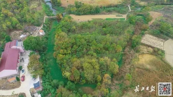 燕窝垸村全景探秘：地理位置、历史文化与旅游攻略一览