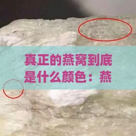 真正的燕窝到底是什么颜色：燕窝颜色如何辨别真假？