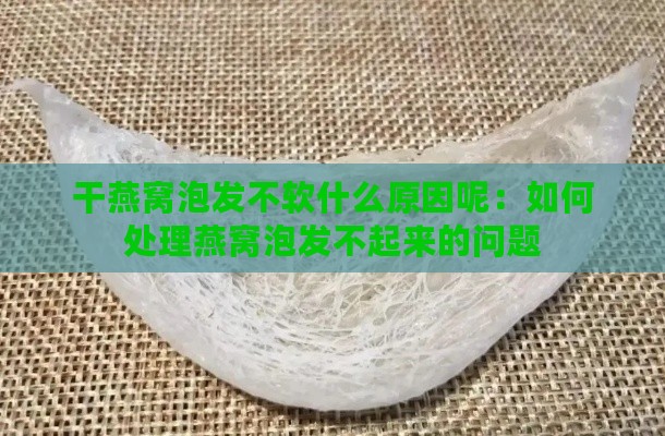 干燕窝泡发不软什么原因呢：如何处理燕窝泡发不起来的问题