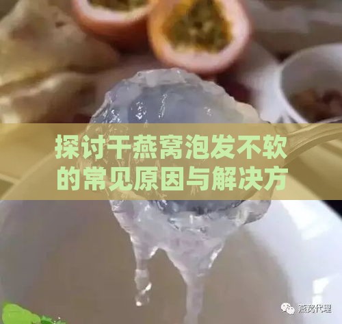 探讨干燕窝泡发不软的常见原因与解决方法