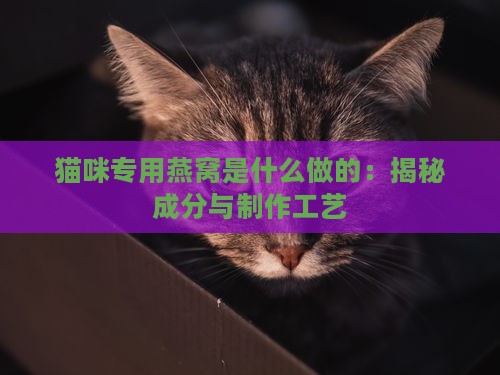 猫咪专用燕窝是什么做的：揭秘成分与制作工艺