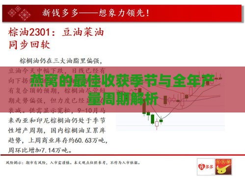 燕窝的更佳收获季节与全年产量周期解析