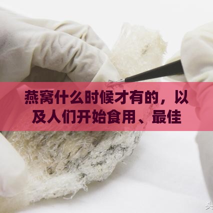 燕窝什么时候才有的，以及人们开始食用、更佳生产期和价格相对便宜的时间