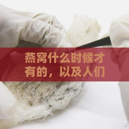 燕窝什么时候才有的，以及人们开始食用、更佳生产期和价格相对便宜的时间