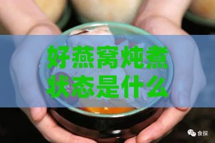 好燕窝炖煮状态是什么样的：炖煮完成后的理想状态与特征