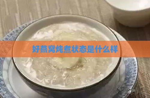 好燕窝炖煮状态是什么样