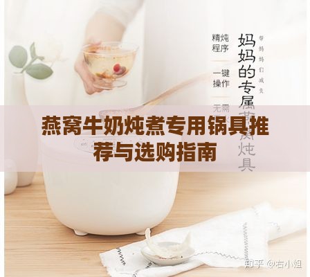 燕窝牛奶炖煮专用锅具推荐与选购指南