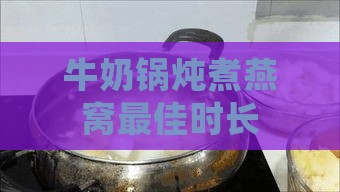 牛奶锅炖煮燕窝更佳时长指南：掌握精确煮制时间