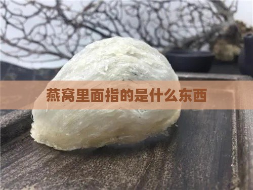 燕窝里面指的是什么东西