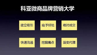 探寻知名燕窝微商：这个名字你一定听过！