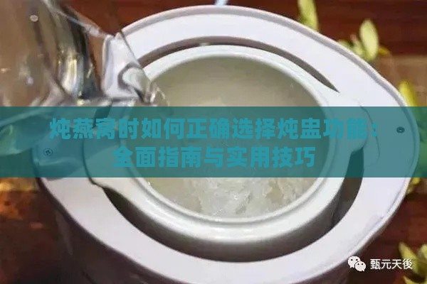 炖燕窝时如何正确选择炖盅功能：全面指南与实用技巧