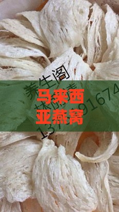 马来西亚燕窝是什么材料做的：探讨其优质材料与制作工艺之谜