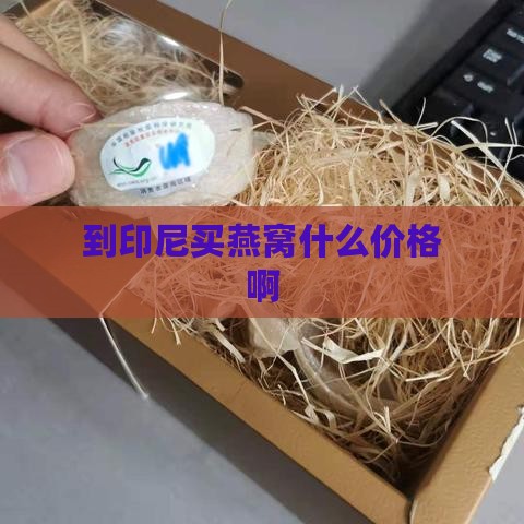 到印尼买燕窝什么价格啊