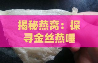 揭秘燕窝：探寻金丝燕唾液与自然精华的珍贵组合原材料