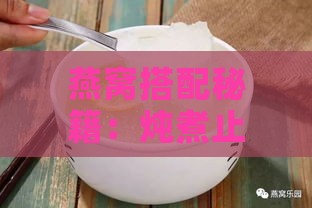 燕窝搭配秘籍：炖煮止咳化痰的更佳食材组合指南