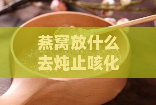 燕窝放什么去炖止咳化痰的：炖品搭配及润肺止咳炖法推荐