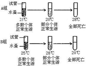 揭秘燕窝：它的来源、形成过程及生长环境全解析