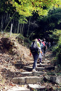 余姚燕窝村：揭秘紫龙庙与古道间的历史之谜