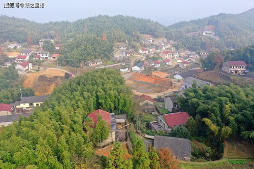 余姚燕窝村：揭秘紫龙庙与古道间的历史之谜