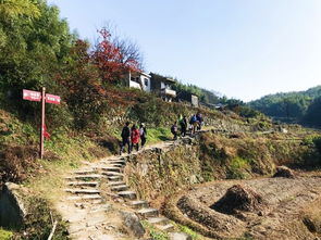 余姚燕窝村：揭秘紫龙庙与古道间的历史之谜