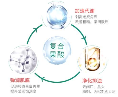 燕窝酸的生理功能是什么：作用及成分解析