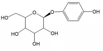 燕窝酸的生理功能是什么：作用及成分解析