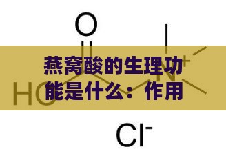 燕窝酸的生理功能是什么：作用及成分解析