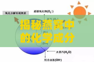 揭秘燕窝中的化学成分：燕窝化学药品及其作用解析