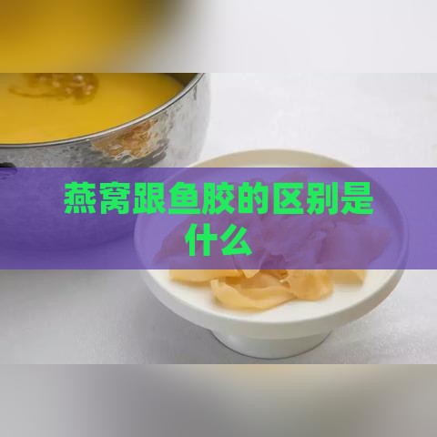 燕窝跟鱼胶的区别是什么