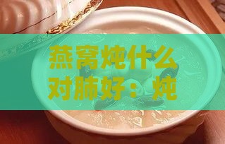 燕窝炖什么对肺好：炖品搭配与养肺效果全解析