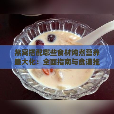 燕窝搭配哪些食材炖煮营养更大化：全面指南与食谱推荐