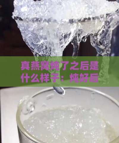 真燕窝炖了之后是什么样子：炖好后燕窝的成品特征与状态