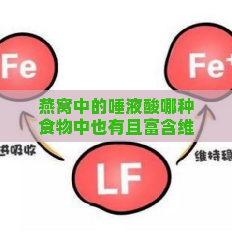 燕窝中的唾液酸哪种食物中也有且富含维生素