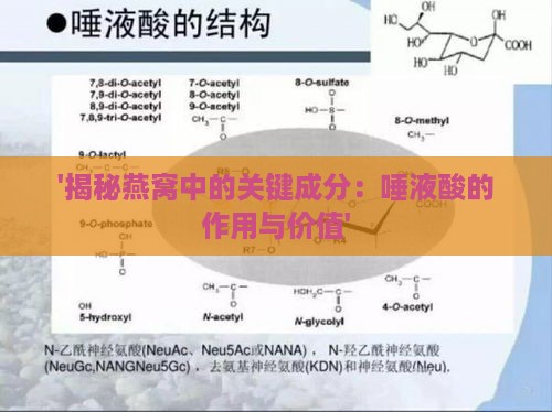 '揭秘燕窝中的关键成分：唾液酸的作用与价值'