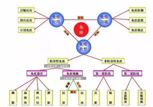 '揭秘燕窝中的关键成分：唾液酸的作用与价值'