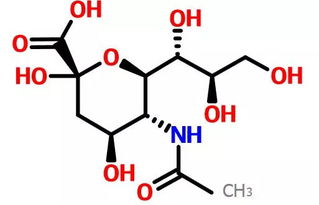 揭秘燕窝中唾液酸的更高含量：全面解析燕窝酸的实际含量与营养价值