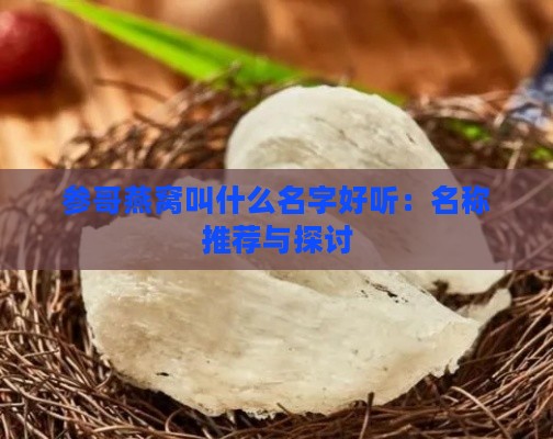 参哥燕窝叫什么名字好听：名称推荐与探讨