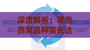 深度解析：哪些燕窝品种需长达4天泡发及正确泡发方法指南