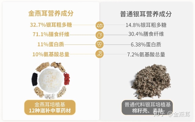 金燕耳与燕窝营养成分对比及食用价值分析