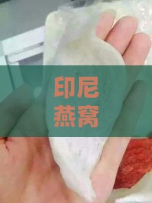 印尼燕窝是什么工艺做的