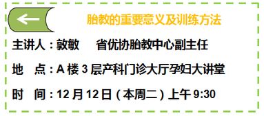 家中发现两只燕窝：原因、含义及应对方法解析