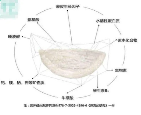 探秘平潭草燕窝：外观特征、形成过程与独特价值解析