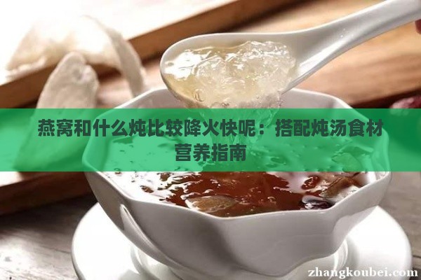 燕窝和什么炖比较降火快呢：搭配炖汤食材营养指南