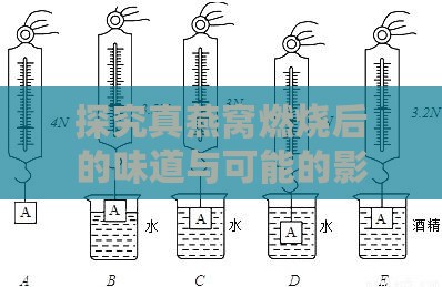 探究真燕窝燃烧后的味道与可能的影响因素：全面解析燕窝燃烧之谜